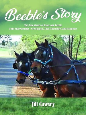 cover image of Beeble's Story